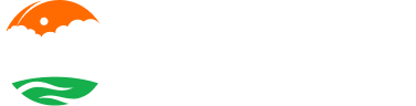 Solas Na Greine