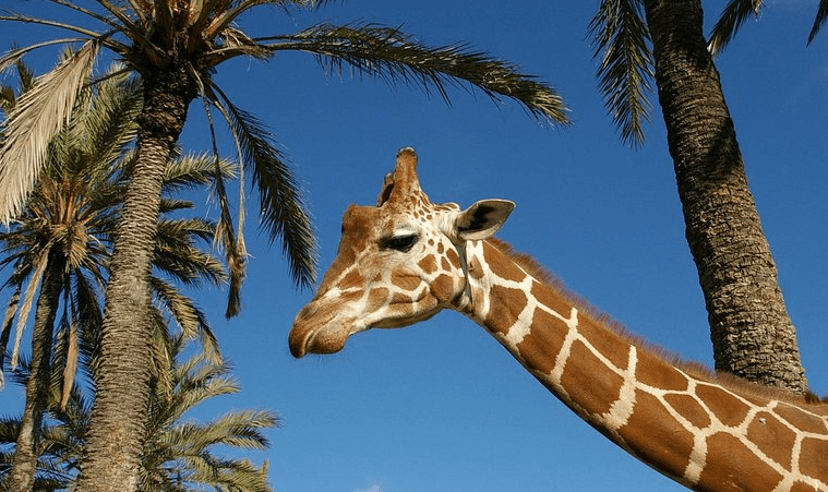 rio safari elche splash park