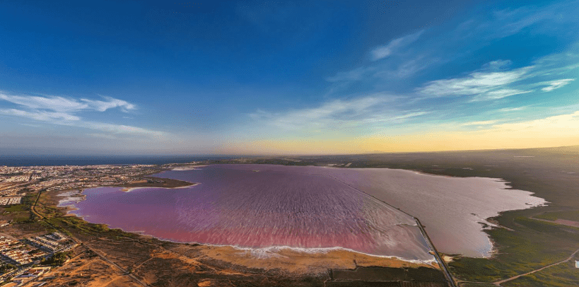 How to Visit Pink Lake Torrevieja