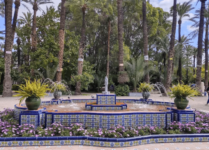 Palmeral de Orihuela